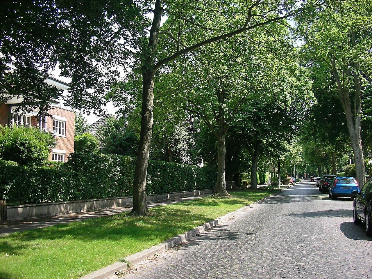 Versuchtes Tötungsdelikt in Marienthal: Polizei nimmt 34-jährigen Tatverdächtigen fest